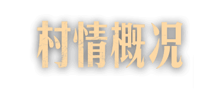 村情概况