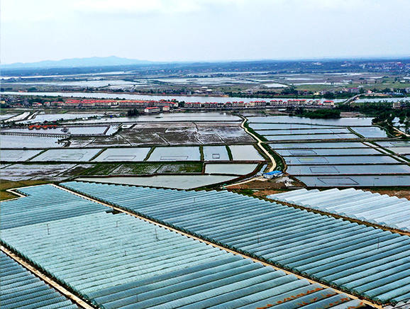河林村果蔬基地