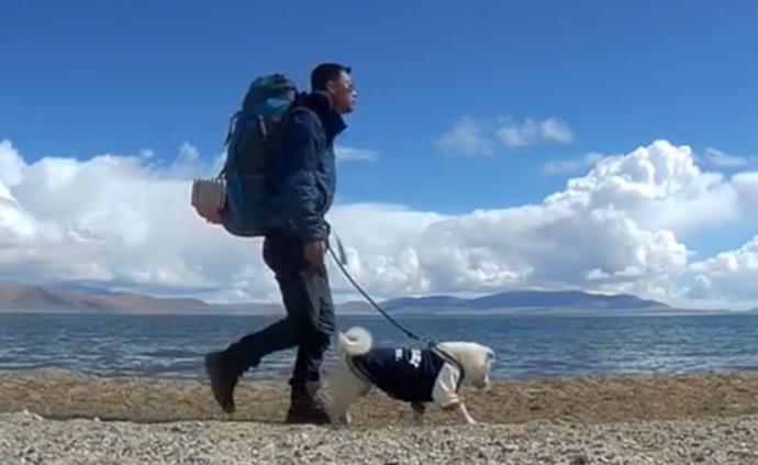 狗生赢家流浪狗赖上背包客一起去旅行