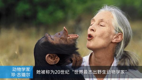 动物行为学家"黑猩猩母亲"珍古道尔