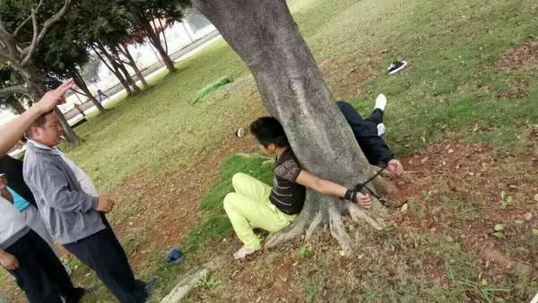 云南红河4小偷校园盗窃被抓后绑树上遭围观学校防止逃跑