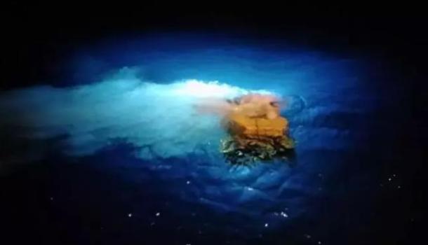 厅 评论 2018-05-08 16:01 深潜机器人"ropos"拍到南海海底冷泉生物