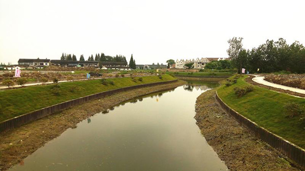 污染河道变身为生态绿廊,上海宝山中小河道整