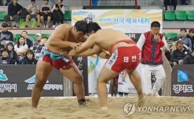 韩国民俗摔跤申遗成功  成为韩国第20件非物质文化遗产