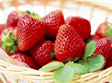 甜蜜草莓季！阜阳这个地方草莓熟了