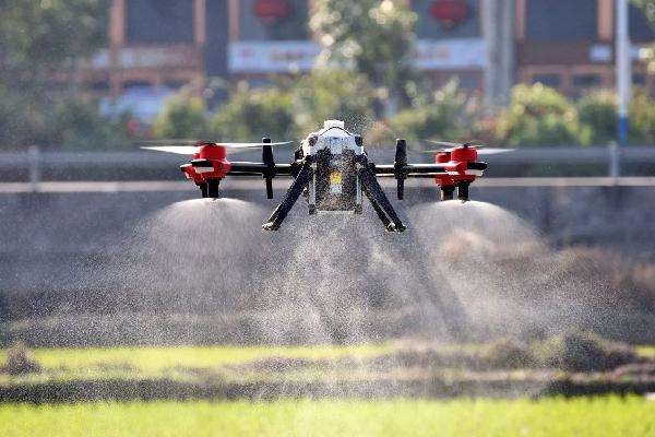 无人机进农田:喷农药效率为人力的30倍,数据共