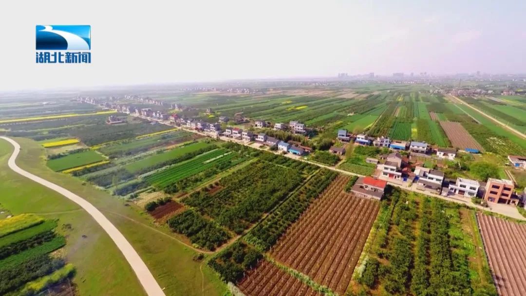 湖北发布首个乡村振兴五年规划:农村电商规模