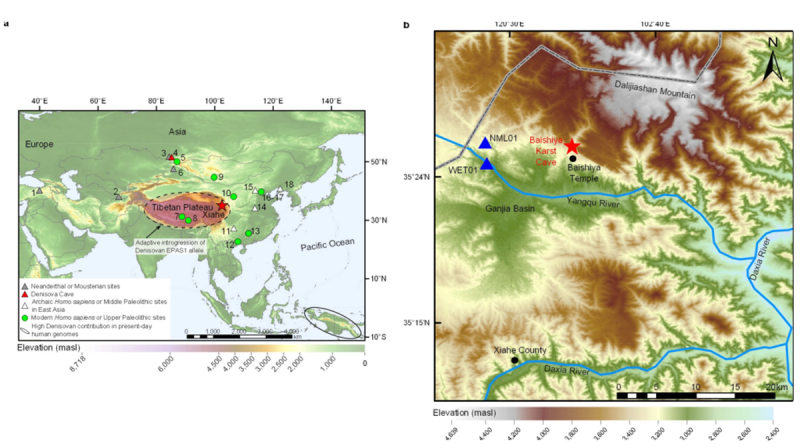 兰大环境考古团队等发现青藏高原16万年前丹尼索瓦人