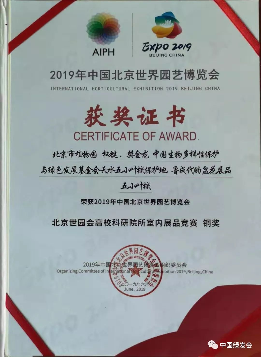 五小葉槭獲獎啦！2021年中國北京世界園藝博覽會