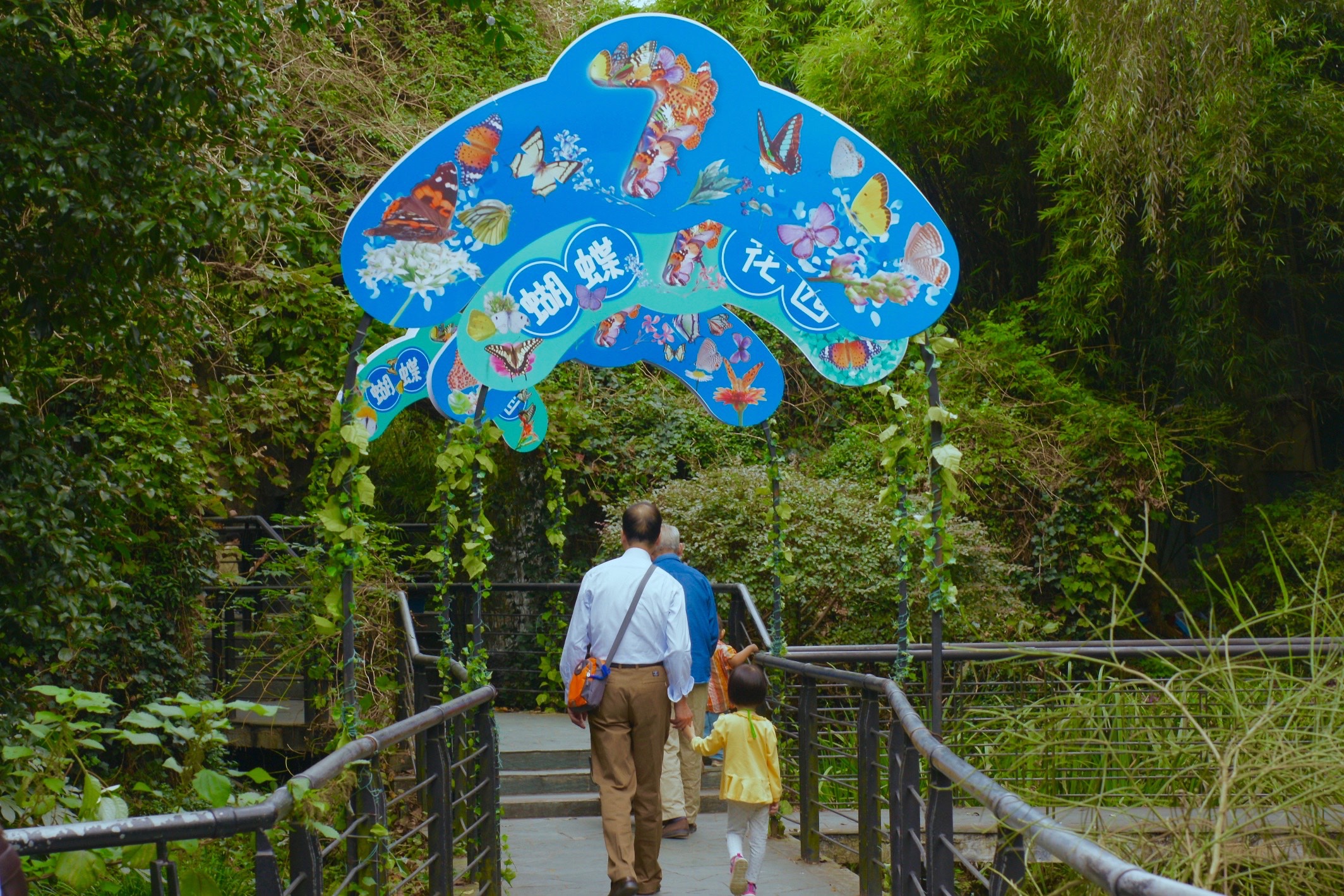 上海动物园蝴蝶展上8万只蝴蝶翩飞，展览重视科教、珍视乡土