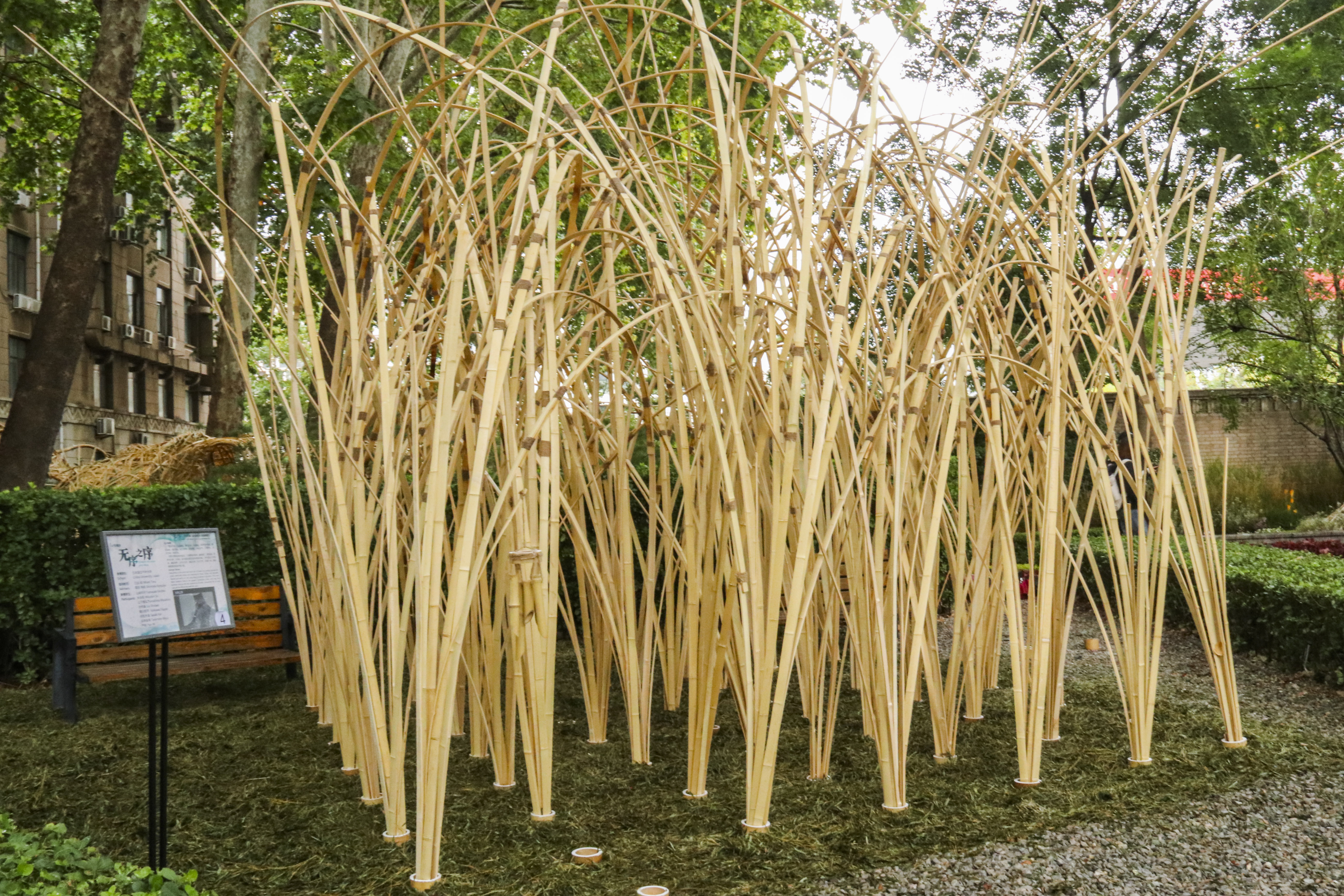 北林举办国际花园建造节，学生造竹木“黑洞”在喧嚣中求宁静