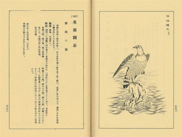 八大山人《双鹰图》今起南昌首展，晚年的他绘鹰渊源何在