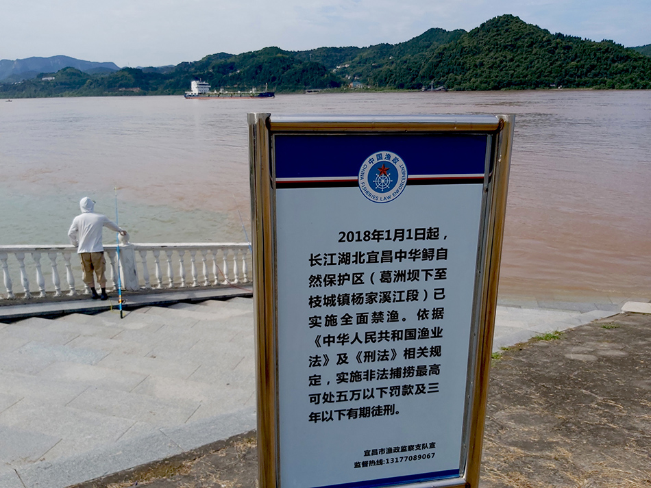 保护长江水生生物资源：“禁渔”与环境保护修复“并重”
