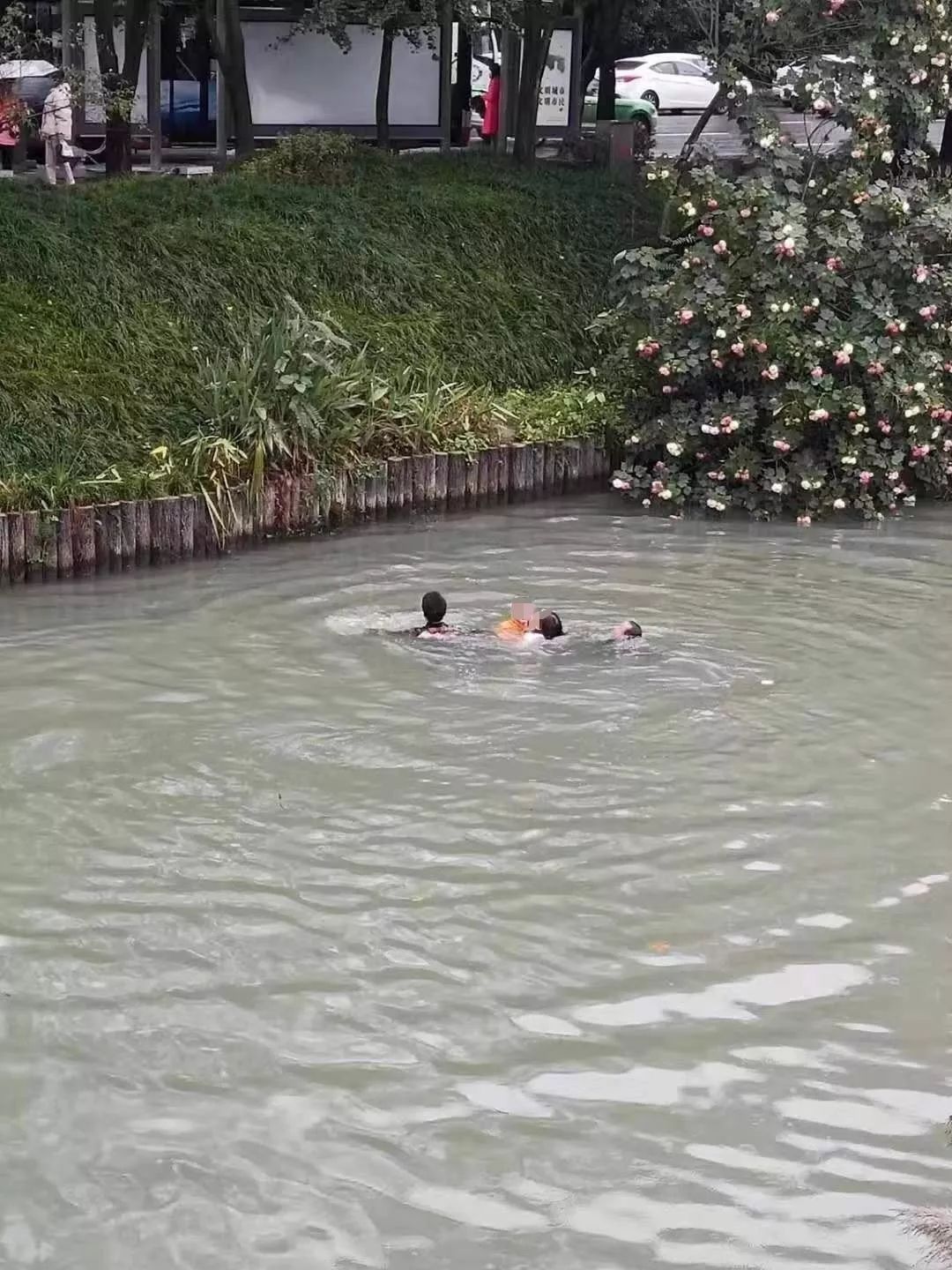 4名女孩落水3人得救1人溺亡 救人者：对不起 | 极目新闻