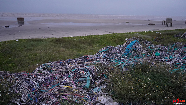 广东湛江官方回应“海边惊现1公里垃圾带”：计划用5天清理