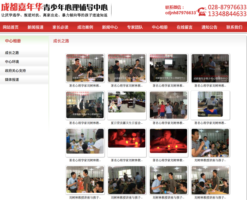 “嘉年华”官网宣传刘树林的材料。</p><p>“嘉年华”官网截图
