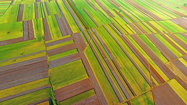 河南官方勒紧耕地红线,到2020年不少于1.2亿亩