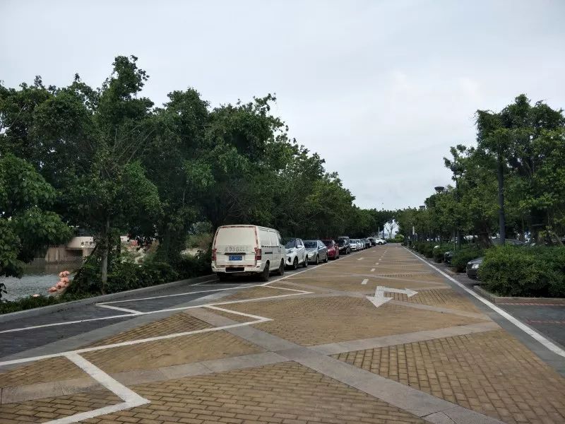 海沧年内再增14个公共停车场,有在你家门口吗
