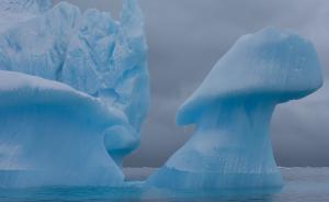 极地游持续走热，游客登陆让南极半岛成南极生态最脆弱地方