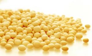 中国转基因大豆有望进入阿根廷实现商业化种植：实属无奈之举