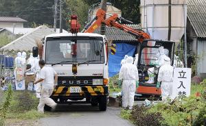 日本岐阜发生猪瘟，病毒基因排列与过去不同或来自海外