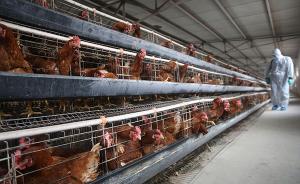 常州发现H7N4禽流感病例，证实该病毒可致严重人类感染