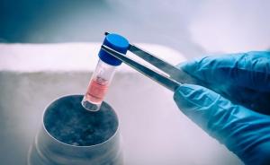 中药企业九芝堂正式进军干细胞领域：年内申报干细胞临床试验