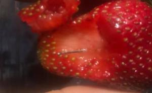 澳连发13起“草莓藏针”事件多人中招，官方建议：切碎再吃
