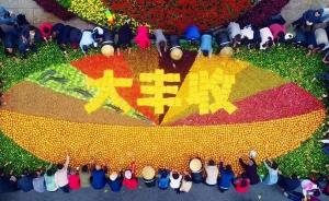 吃“千人蝌蚪宴”賞怪村太平鼓，各地齊慶首個中國農民豐收節