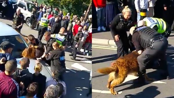 英国中学百人打群架，警犬直升机都来了