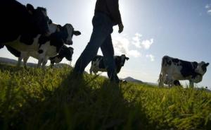 胡春华：发展以奶农为主体的生产经营体系，加快奶业转型升级