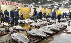 “东京厨房”筑地海鲜市场搬迁，数万老鼠恐涌入市区