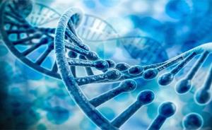 PNAS新研究首次确定：男性勃起功能障碍和基因缺陷相关