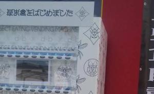 日本熊本县首现食用昆虫自助售卖机