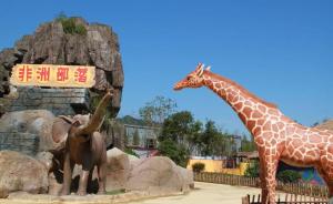 杭州的这几只小象太壕！动物园为其找来美国公司设计造新房