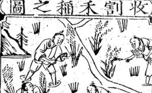 问吧精选 | 历史知道皇帝私生子是谁， 也记录水稻从哪来