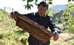 53岁男子养蜂38年，发明8项专利，被誉养蜂界“爱迪生”