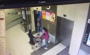 武汉3岁女童被陌生女子强推进电梯，被发现后称“认错人”
