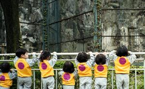 韩国近两千私立幼儿园挪用公款，有用于购买名牌包和成人用品
