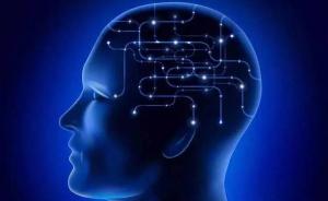 加拿大科学家研究发现：嗅觉与空间记忆力受同一个脑区控制