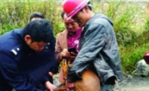 贵州一黄麂误入村寨被狗撵入河沟，村民救起后报警