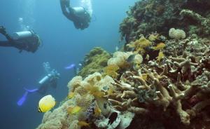 阿拉伯海中的“潜水拾荒”：与时间作战，治理海洋垃圾