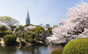 怕跟外国人交流，东京新宿御苑职员免费放行十多万游客入园