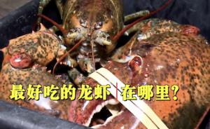 视频｜淘“最”进博会④：龙虾名扬万里，美味自有道理