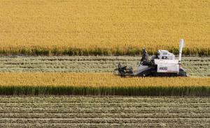 自然资源部公布10起违法占用永久基本农田案件
