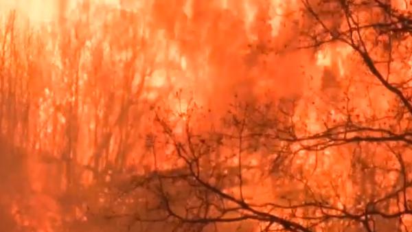 美国加州多地山火肆虐，数万居民撤离