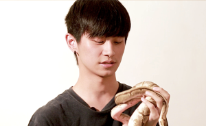 90后香港小伙养蟒蛇做宠物，这样的陪伴你敢要吗？