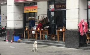 成都16日起对限养区禁养犬进行收容，中华田园犬在被禁之列