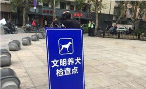 杭州专项治理违规养犬：不定时检查，双休日开放办理犬证