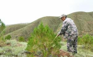 甘肃榆中护林人40载植树巡山，每天挖数百个树窝